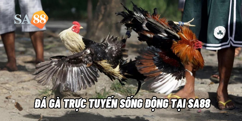 da ga truc tuyen sa88